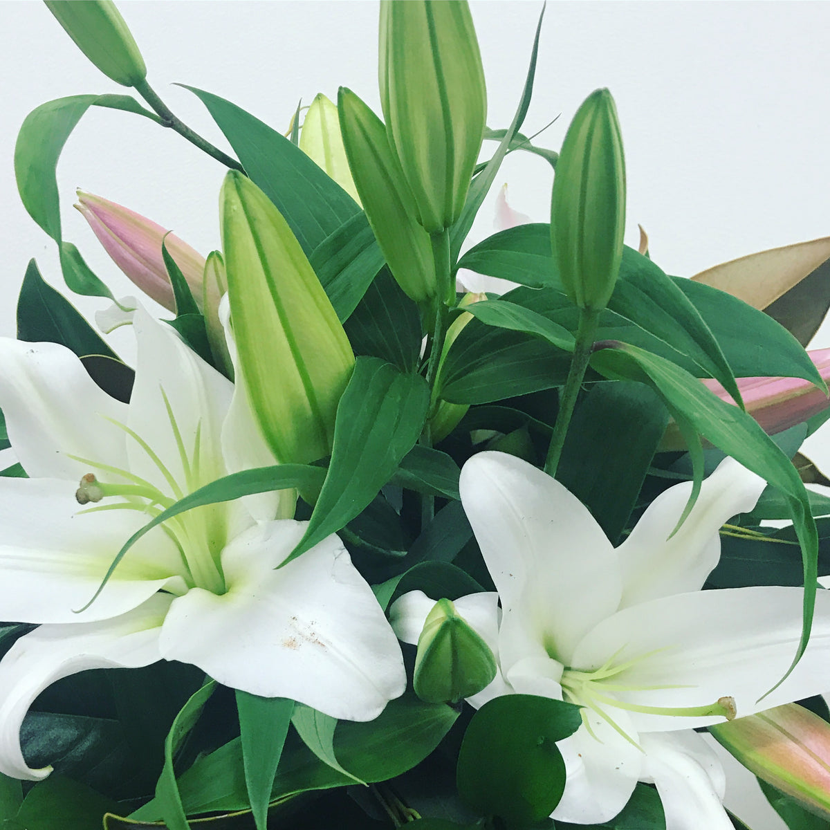 Classic Lillies & Stock Victoria Park Flowers