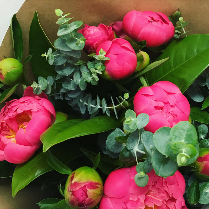 Peonies with a purpose
