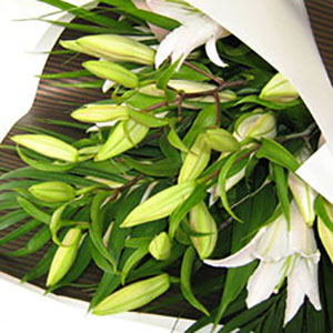 Bouquet of Lilies